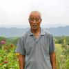 沔州老农