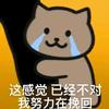 坚果花生壳