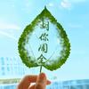 🌊胡你🍎周全🌊
