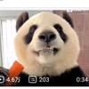 乐秋洛
