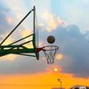 答案篮球🏀真真老师