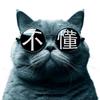 猫不懂088