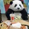 维维喝豆奶