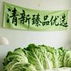 清新臻品优选