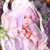 茉莉雨_毛娘版