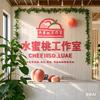 水蜜桃音乐工作室