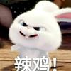 Neuta