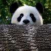 PLC编程自学为王——文哥