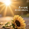 默守那份情
