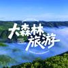大森林旅游