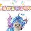 猫猫✔（求关注版）
