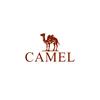 骆驼休闲服饰旗舰店