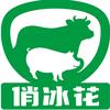 俏冰花鲜肉铺（龙江）商贸城店