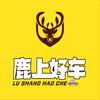 大文-鹿上好车
