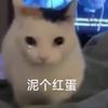 脆脆鯊ⁱᵐⁱ