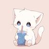 Good 猫宁~🐱