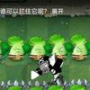 周子睿<黑橄榄球僵尸>