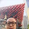又馋又懒筷子楚