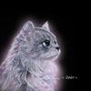 蓝猫Azure