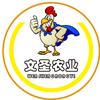 文圣农业脱温鸡涪城养殖批发站