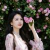 雪忆梦儿