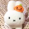爱拍照的南瓜er🎃