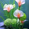 林芳