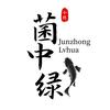 @菌中绿花-陈指导