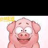 小猪观影LY