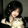 小夜猫