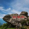 终南山里人