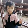 心竹
