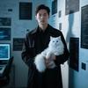 少儿编程猫老师