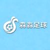 森淼足球