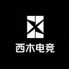 西木电竞