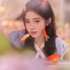小龙女的小迷妹🐰