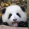 周米粒