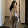 小燕子