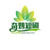 小霞健短剧