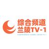 兰陵TV-1综合频道