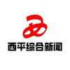 西平综合新闻
