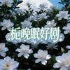栀晚眠好剧