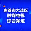 盘锦市大洼区融媒电视综合频道