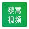 藜蒿视频