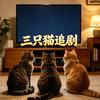 三只猫追剧