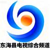 连云港市东海县电视综合频道