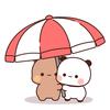 布知一二