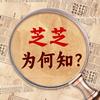 芝芝为何知