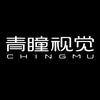 青瞳视觉