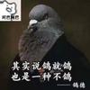 阿巴的扑棱鸽子